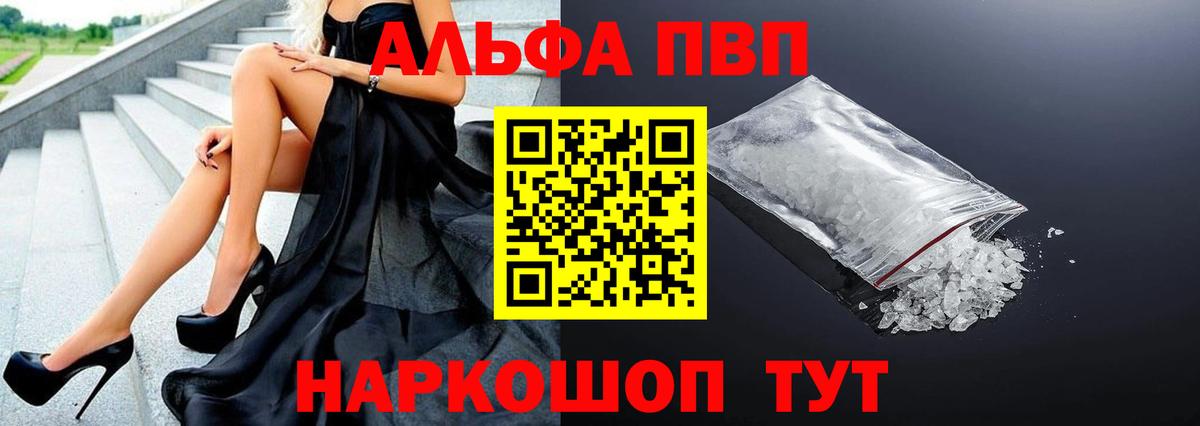 Альфа ПВП СК КРИС  Вход с VPN  Alpha-PVP СК КРИС  Курчалой  Alfa_PVP СК 