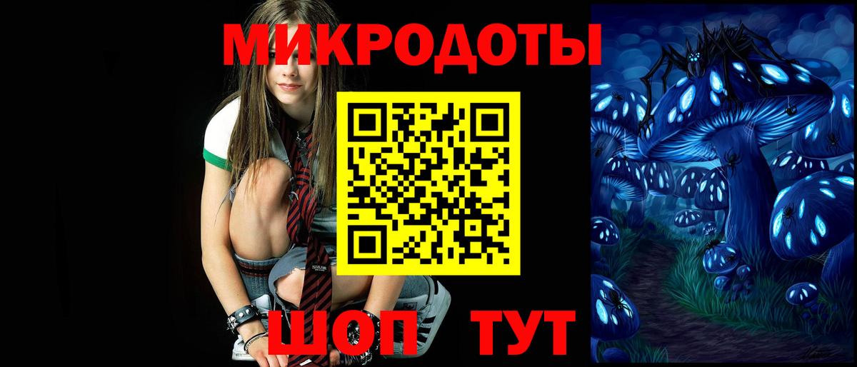 Галлюциногенные грибы Psilocybe  Вход с VPN  Курчалой 